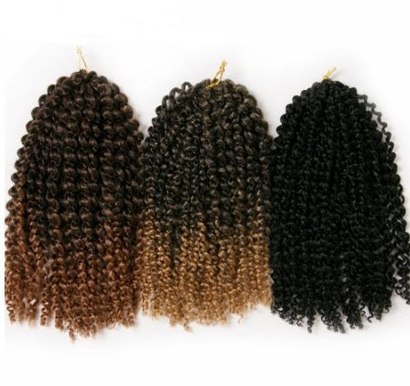 Extensiones de Cabello Rizado – Suavidad Superior, Volumen Natural y Calidad Garantizada
