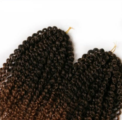 Extensiones de Cabello Rizado – Suavidad Superior, Volumen Natural y Calidad Garantizada